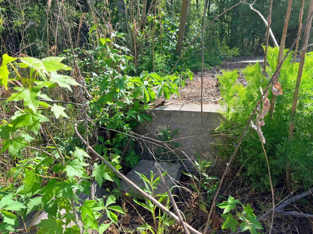 Photo of 4241 Mainsail Street, Tallahassee, FL 32303 (MLS # 399115)