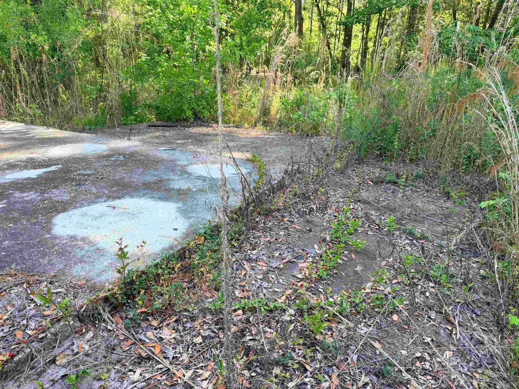 Photo of 4241 Mainsail Street, Tallahassee, FL 32303 (MLS # 399115)