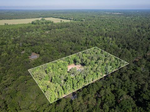 236 Forest Lane, Crawfordville, FL 32327 - MLS#: 385296