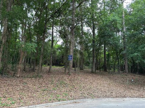 Tiny photo for 1327 W Constitution Place, Tallahassee, FL 32308 (MLS # 362408)