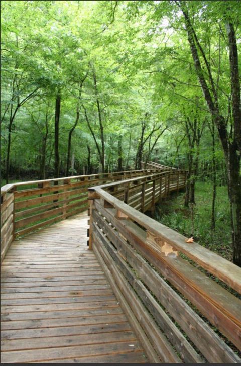 Tiny photo for 0 RANCH CLUB Road, Tallahassee, FL 32305 (MLS # 371767)