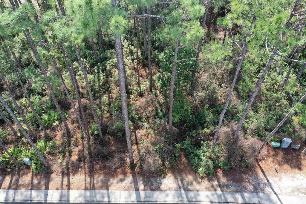 Photo of 128 Royal Tern Way, Carrabelle, FL 32322 (MLS # 391435)