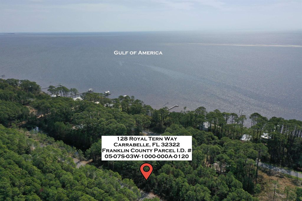 Photo of 128 Royal Tern Way, Carrabelle, FL 32322 (MLS # 391435)