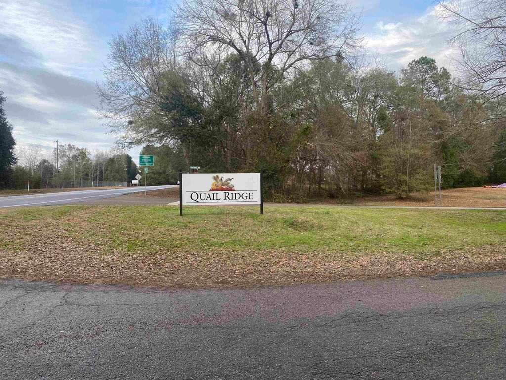 Photo of 177 Quail Ridge Road, Havana, FL 32333 (MLS # 396959)