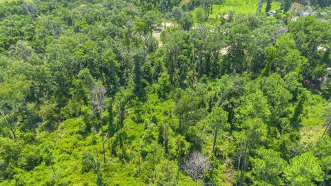 Tiny photo for 0 N Forest Court, Monticello, FL 32344 (MLS # 402917)