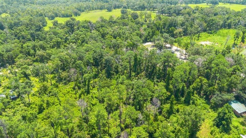 Tiny photo for 0 N Forest Court, Monticello, FL 32344 (MLS # 402917)