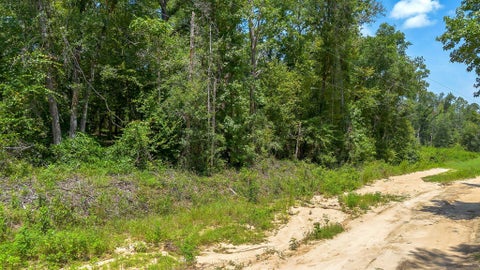 Tiny photo for 0 N Forest Court, Monticello, FL 32344 (MLS # 402917)