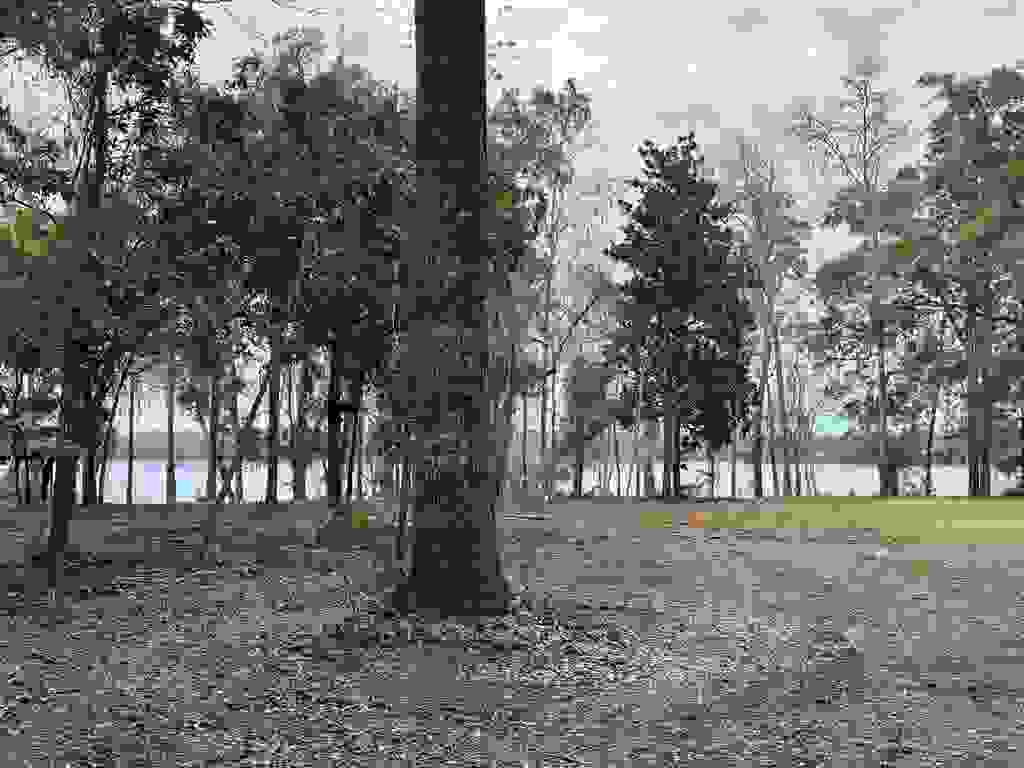 Photo of Parramore Shores Road, Tallahassee, FL 32310 (MLS # 402081)