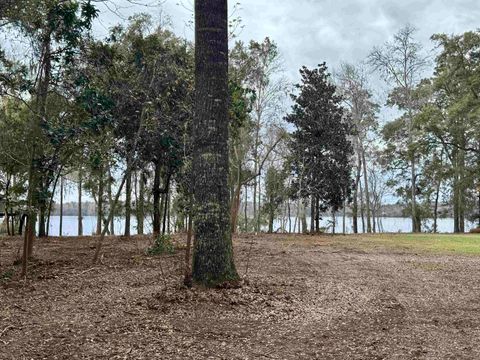 Tiny photo for Parramore Shores Road, Tallahassee, FL 32310 (MLS # 402081)