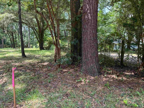 Tiny photo for Parramore Shores Road, Tallahassee, FL 32310 (MLS # 402081)
