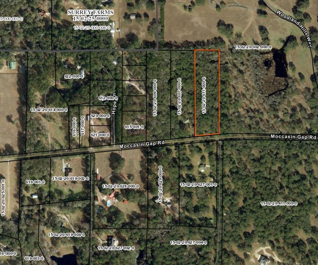Photo of X MOCCASIN GAP Road, Tallahassee, FL 32309 (MLS # 395409)