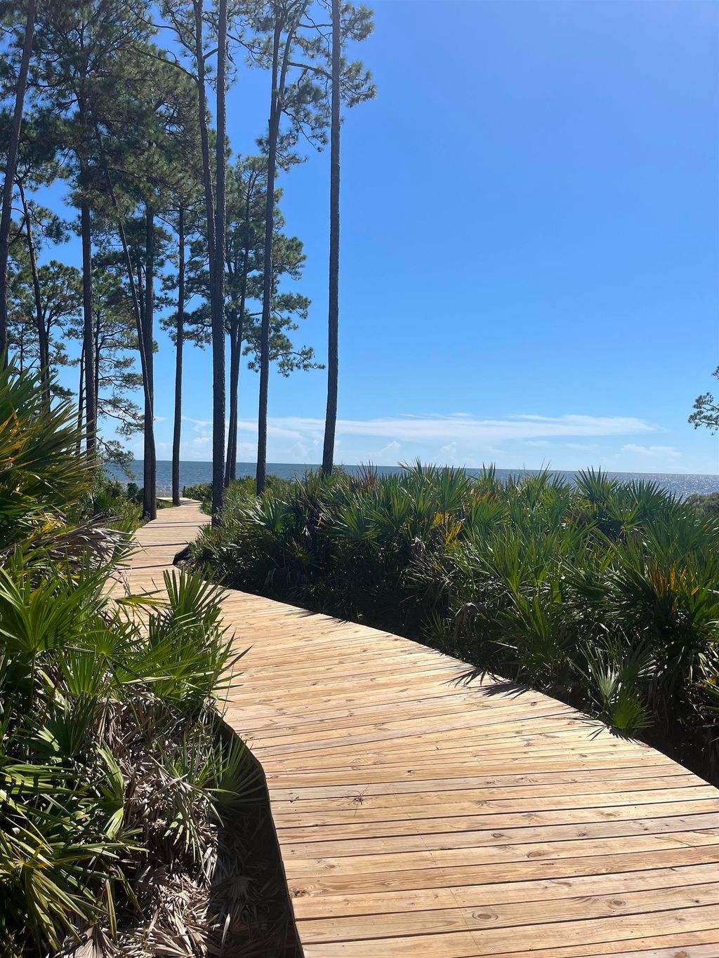 Photo of 130 Turkey Point #Lot 366-E, St Teresa, FL 32358 (MLS # 391523)