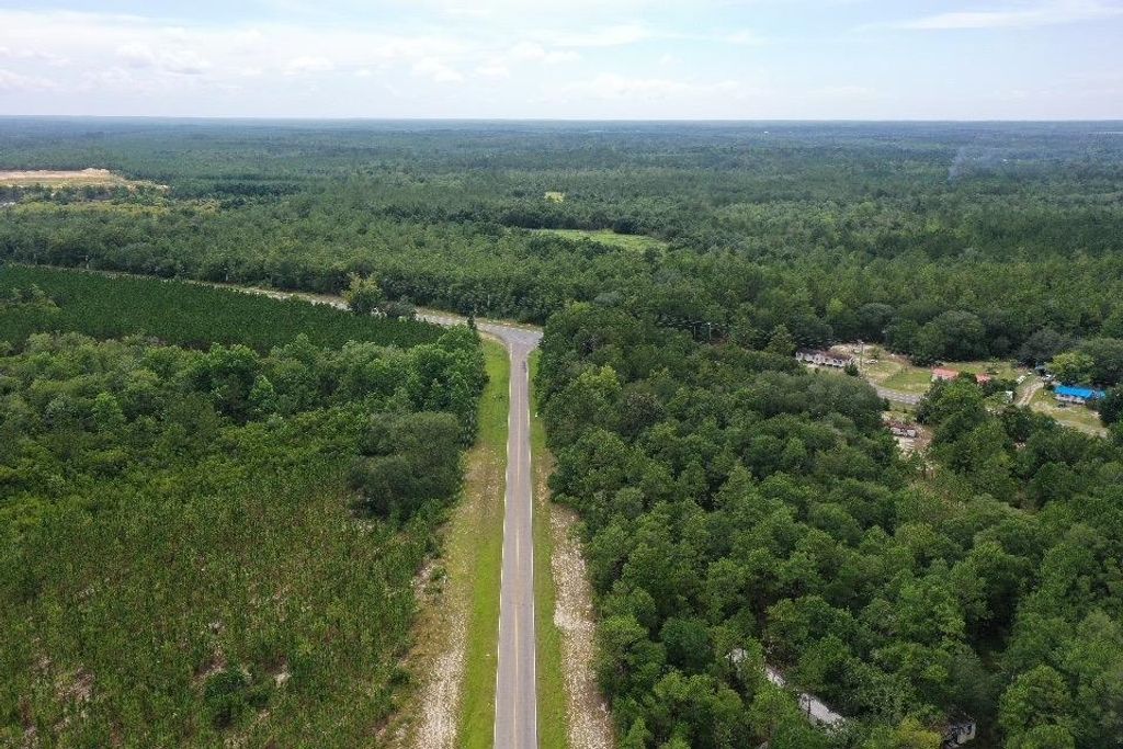 Photo of 45 Old Federal Road, Quincy, FL 32351 (MLS # 388574)