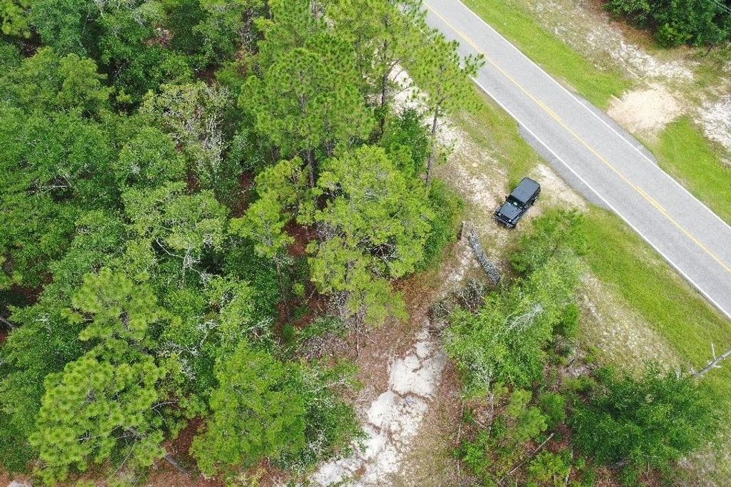 Photo of 45 Old Federal Road, Quincy, FL 32351 (MLS # 388574)