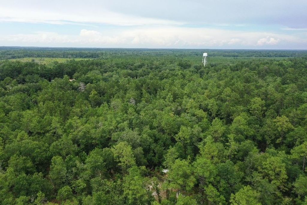 Photo of 45 Old Federal Road, Quincy, FL 32351 (MLS # 388574)