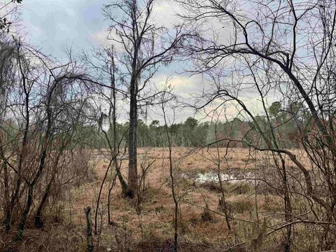 Tiny photo for 2688 NE Cherry Lake Circle, Pinetta, FL 32350 (MLS # 395350)