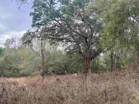 Tiny photo for 2688 NE Cherry Lake Circle, Pinetta, FL 32350 (MLS # 395350)