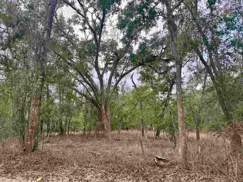 Tiny photo for 2688 NE Cherry Lake Circle, Pinetta, FL 32350 (MLS # 395350)