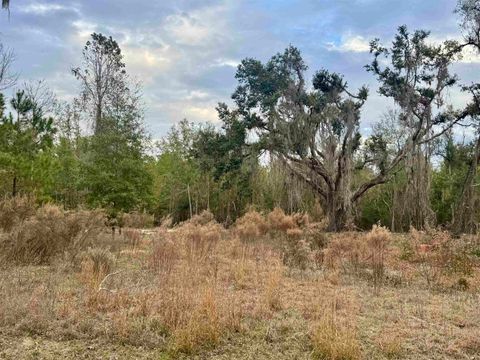 Tiny photo for 2688 NE Cherry Lake Circle, Pinetta, FL 32350 (MLS # 395350)