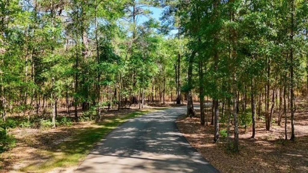 Photo of 8626 Proctor Road, Tallahassee, FL 32309 (MLS # 399128)