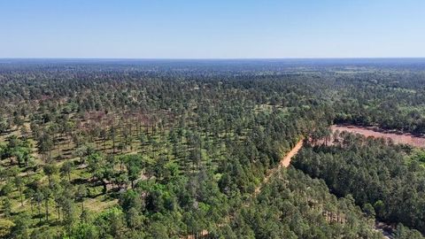 Tiny photo for 8626 Proctor Road, Tallahassee, FL 32309 (MLS # 399128)