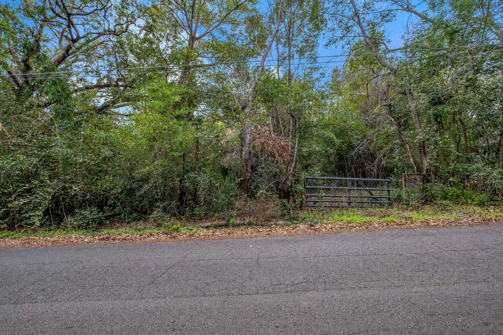 Photo of 1526 Live Oak Drive, Tallahassee, FL 32301 (MLS # 399981)