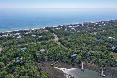 Tiny photo for 1909 SMUGGLERS COVE Road, Tallahassee, FL 32328 (MLS # 393290)