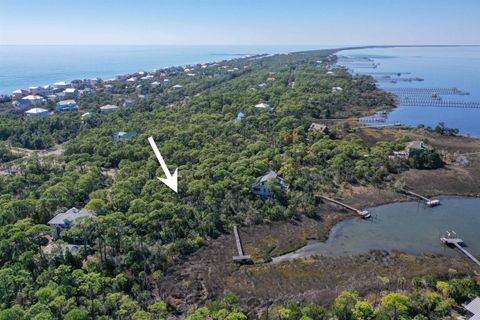 Tiny photo for 1909 SMUGGLERS COVE Road, Tallahassee, FL 32328 (MLS # 393290)