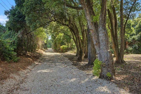 Tiny photo for 2192 Thirlestane Road, Tallahassee, FL 32309 (MLS # 394772)