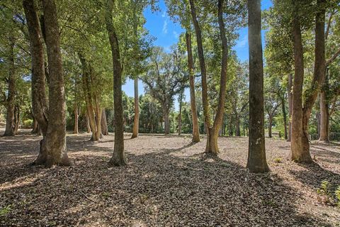 Tiny photo for 2192 Thirlestane Road, Tallahassee, FL 32309 (MLS # 394772)