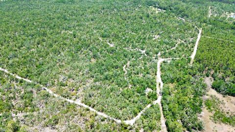 00 Clearwater Creek Lane Perry FL 32348