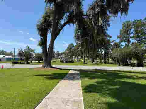Tiny photo for 13796 W US 90, Greenville, FL 32331 (MLS # 402933)