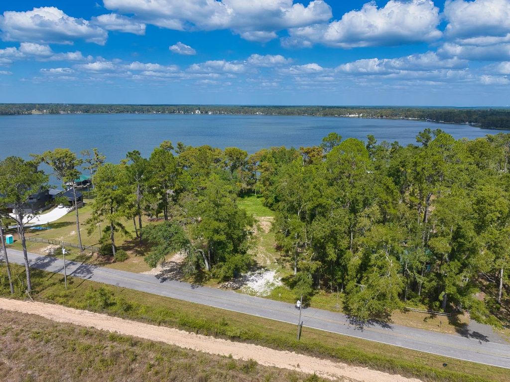 Photo of 1537 NE Cherry Lake Circle, Madison, FL 32340 (MLS # 391808)