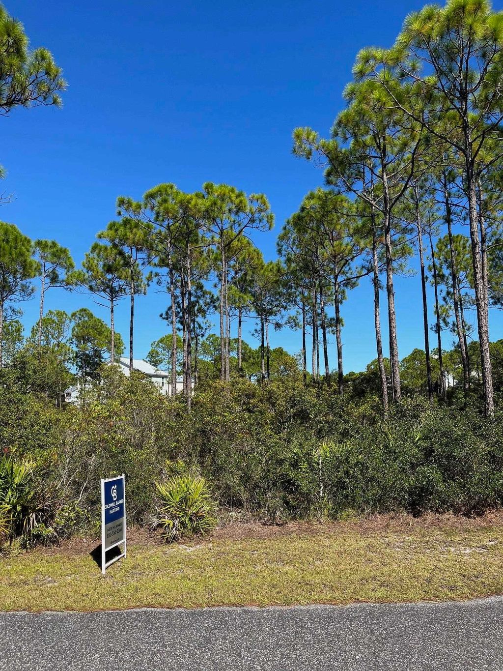 Photo of 131 Lightning Bug Lane, St Teresa, FL 32358 (MLS # 391541)