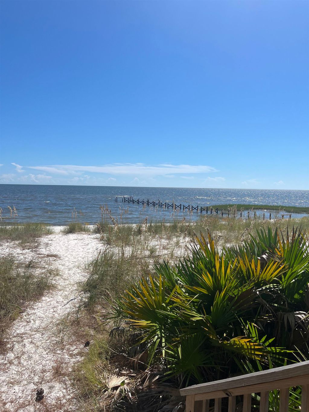 Photo of 131 Lightning Bug Lane, St Teresa, FL 32358 (MLS # 391541)