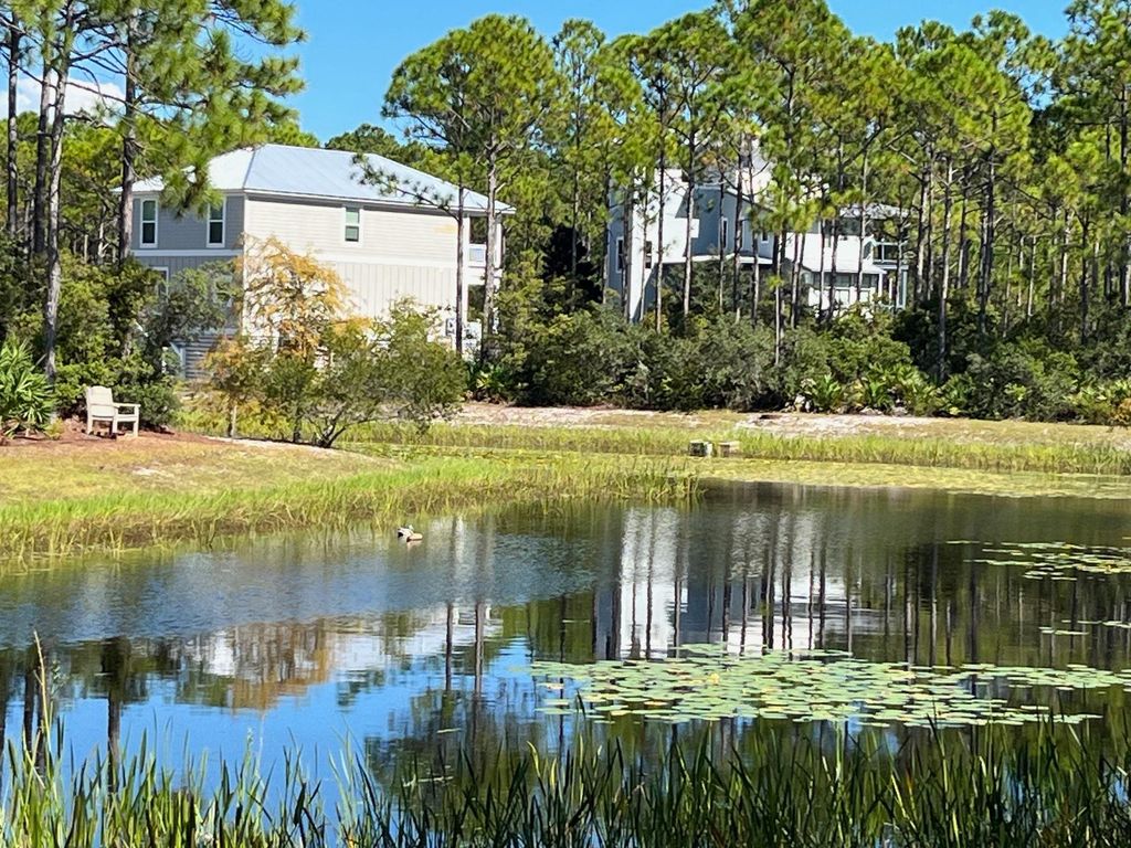 Photo of 131 Lightning Bug Lane, St Teresa, FL 32358 (MLS # 391541)