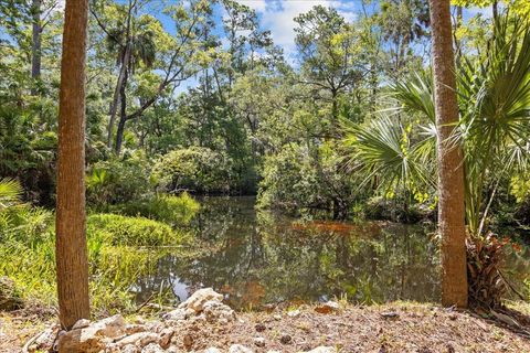 Tiny photo for 1334 Jr. Howell Road, Steinhatchee, FL 32359 (MLS # 398020)