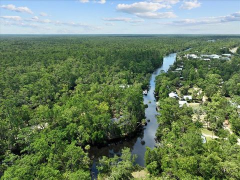 Tiny photo for 1334 Jr. Howell Road, Steinhatchee, FL 32359 (MLS # 398020)