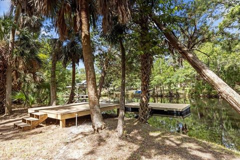 Tiny photo for 1334 Jr. Howell Road, Steinhatchee, FL 32359 (MLS # 398020)
