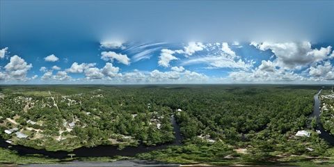 Tiny photo for 1334 Jr. Howell Road, Steinhatchee, FL 32359 (MLS # 398020)