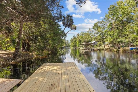 Tiny photo for 1334 Jr. Howell Road, Steinhatchee, FL 32359 (MLS # 398020)
