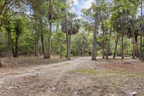 Tiny photo for 1334 Jr. Howell Road, Steinhatchee, FL 32359 (MLS # 398020)