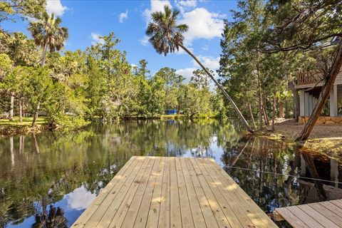 Tiny photo for 1334 Jr. Howell Road, Steinhatchee, FL 32359 (MLS # 398020)