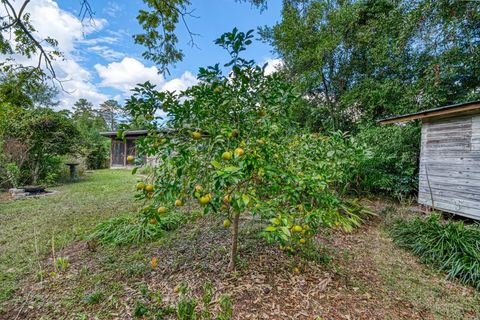 Tiny photo for 439 Shephard Street, Tallahassee, FL 32303 (MLS # 394835)