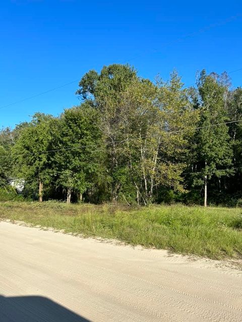 Tiny photo for 00 Box Wood Lane, Tallahassee, FL 32303 (MLS # 380531)