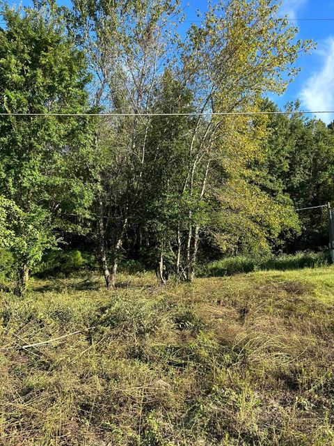 Tiny photo for 00 Box Wood Lane, Tallahassee, FL 32303 (MLS # 380531)