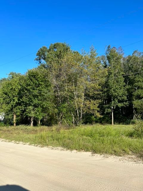 Photo of 00 Box Wood Lane, Tallahassee, FL 32303 (MLS # 380531)