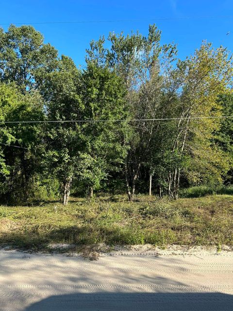 Tiny photo for 00 Box Wood Lane, Tallahassee, FL 32303 (MLS # 380531)