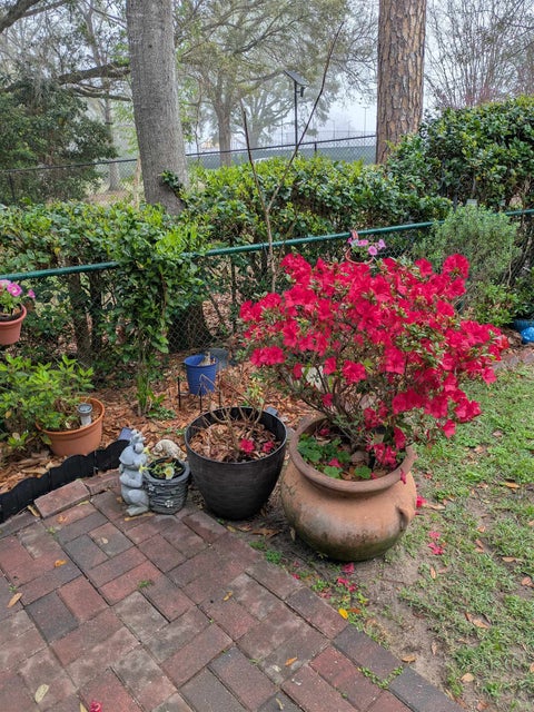 Tiny photo for 2949 Shamrock Street #24, Tallahassee, FL 32309 (MLS # 401871)