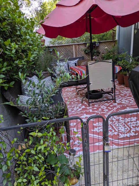 Tiny photo for 2949 Shamrock Street #24, Tallahassee, FL 32309 (MLS # 401871)